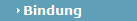 Bindung